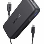 RAVPower モバイルバッテリー 10000mAh PD対応 29W USB-A ポート (世界最小最軽量クラス) 【USB-C入出力ポート/Power Delivery対応/PSE認証済】 iPhone iPad Android等対応 RP-PB186