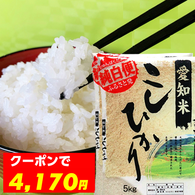 【7/30〜クーポンで300円OFF】米 10kg こしひかり 5kg×2 愛知県産 令和元年産 送料無料 コシヒカリ お米【ギフト】