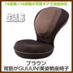 ●あす楽（1030円クーポン）【背筋がGUUUN　美姿勢座椅子（色：ブラウン）】【送料無料】2つの14段階リクライニング機能！腰が辛い、背中がはる人に 背筋がGUUUN(グーン)美姿勢座椅子 背筋がGUUUN!!美姿勢座椅子 背筋がGUUUN美姿勢座椅子【★】送料無料