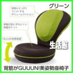 ●あす楽（1030円クーポン）【背筋がGUUUN 美姿勢座椅子（色：グリーン）】2つの14段階リクライニング機能！腰が辛い、背中がはる人に 背筋がGUUUN(グーン)美姿勢座椅子 背筋がGUUUN!!美姿勢座椅子【★】楽天最安値に挑戦！（送料無料）