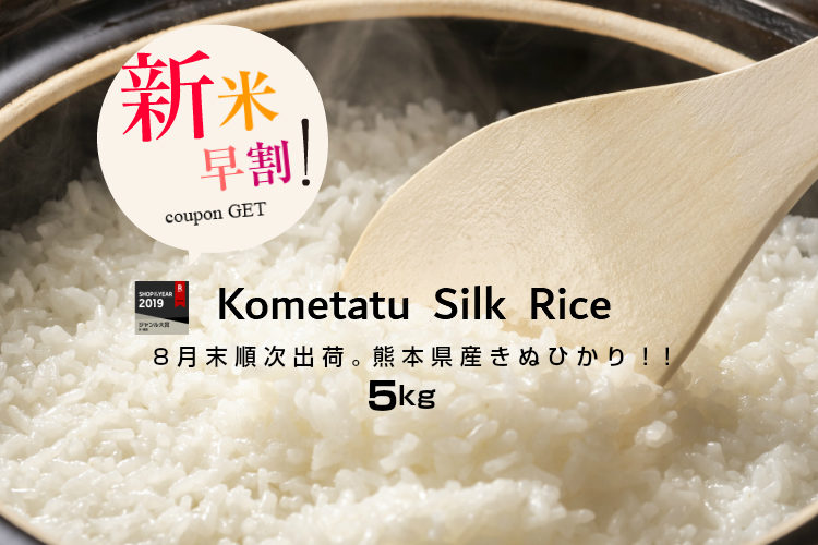 【新米予約】【クーポンで2,180円！】【令和2年産】熊本県産キヌヒカリ白米5kg【米 5kg 送料無料】【お米 5kg 送料無料】米/お米/コメ【きぬひかり】【熊本県産】2年