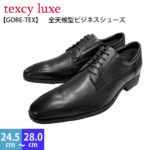 【200円引きクーポン配布中！】アシックス商事 asics テクシーリュクス texcy luxe TU-8001 ゴアテックス メンズ ビジネスシューズ 防水タイプ プレーントゥ 3E相当 男性 紳士 革靴 本革 通勤 24.5〜28.0cm