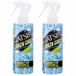 【Amazon.co.jp限定】 GATSBY(ギャツビー) クレイジークール ボディウォーター アイスシトラス 170ml×2本