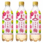 アサヒ飲料 「三ツ矢」梅 500ml ×3本