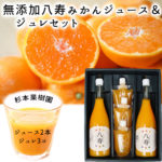 【20％OFFクーポン配布中！】杉本果樹園　無添加八寿みかんジュース100％×2本とジュレ170g×3個セット