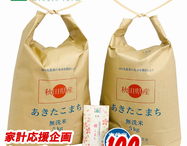 【おまけ付き】【クーポン配布中】秋田県産 農家直送 あきたこまち 無洗米10kg（5kg×2袋）令和元年産 / 古代米お試し袋付き